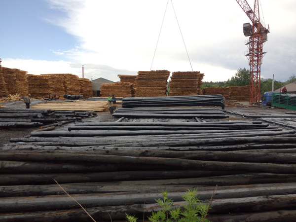 防腐油木桿、防腐油炸桿4